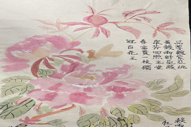 【3月研讨活动】诗画交融探花信　跨科共绘自然诗　 ——记小学语文·美术跨学科特色课堂